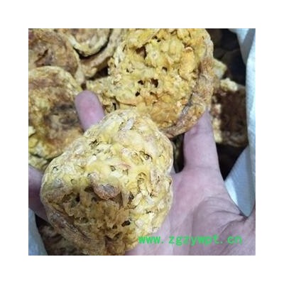 羊胎盘 羊胎盘统个 产地 内蒙古自治区