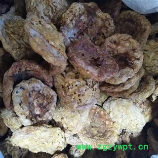 羊胎盘 羊胎盘统个 产地 内蒙古自治区图2