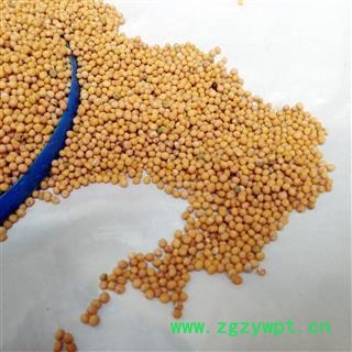 白芥子 白芥子净货 产地 四川省 国药堂 专注品质图2