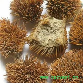 煜庭药业 刺猬皮图2