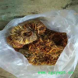 煜庭药业 刺猬皮图4