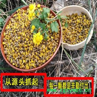 野菊花菊花茶秦岭野生菊花胎菊清心明目小黄菊花野菊花茶散装500g图4