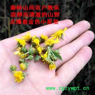 野菊花菊花茶秦岭野生菊花胎菊清心明目小黄菊花野菊花茶散装500g图2