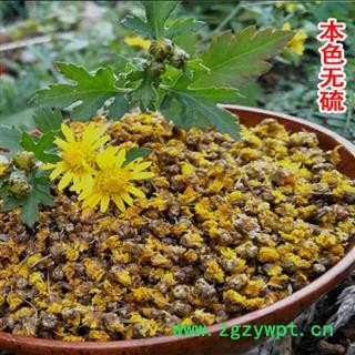 野菊花菊花茶秦岭野生菊花胎菊清心明目小黄菊花野菊花茶散装500g图3