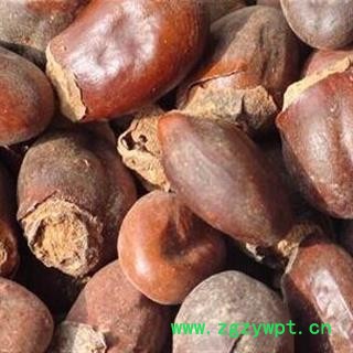 荔枝核 荔枝核统货 产地 广西壮族自治区 国药堂 专注品质图2