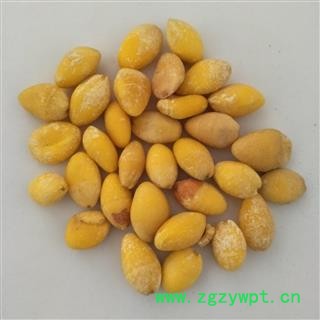 白果 白果仁 新货颜色好 足干 国药堂 专注品质 产地 江苏省图2