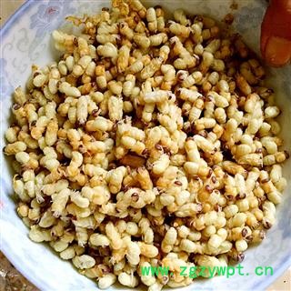 煜庭药业 地蜂子 雄蜂蛹 蜂乳图3