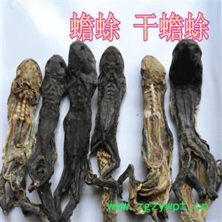 煜庭药业 蟾皮 干蟾图4