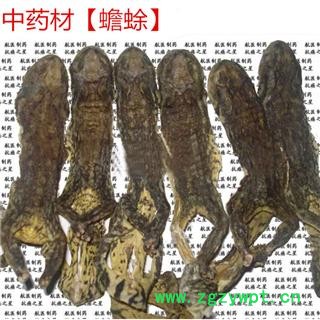 煜庭药业 蟾皮 干蟾图2