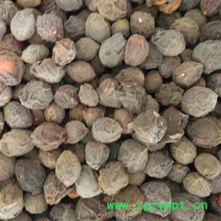 乌梅 生乌梅统货 产地 四川省 国药堂 专注品质图3