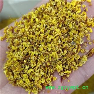 桂花 好货 选 茶用 产地 安徽省图2