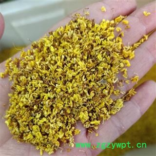 桂花 好货 选 茶用 产地 安徽省图3