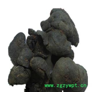 煜庭药业 獭肝 水狗肝 水獭肝图4