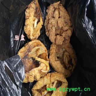 煜庭药业 紫河车 人胎盘 人包衣 胎衣 返现进行中图2