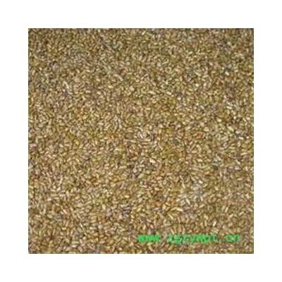 炒 决明  决明子 统 产地 四川省广元市旺苍县