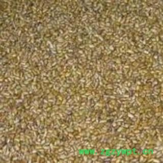 炒 决明  决明子 统 产地 四川省广元市旺苍县图2