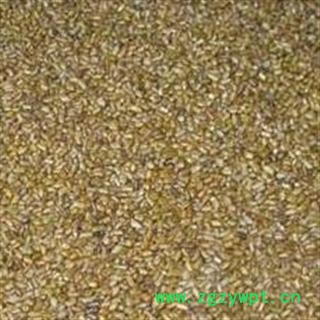 炒 决明  决明子 统 产地 四川省广元市旺苍县图3