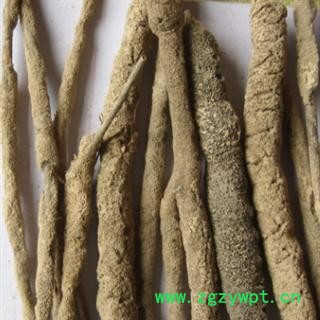 四海商联 紫稍花 紫梢花 紫霄花  个大 淡水海绵图3