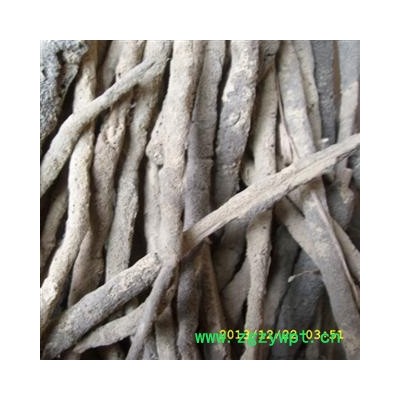 四海商联 紫稍花 紫梢花 紫霄花  个大 淡水海绵