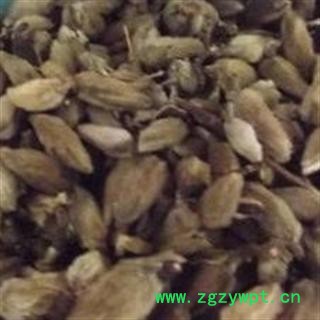 辛夷花优质货 产地 河南省三门峡市灵宝市图2