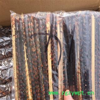 国外正品宽蜈蚣，12-13CM，无段面图2