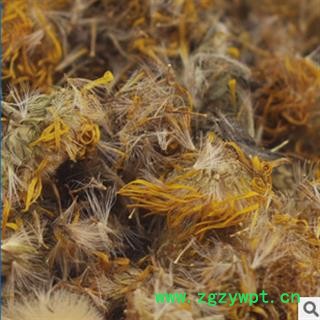 旋复花 选 产地 安徽省亳州市谯城区图2