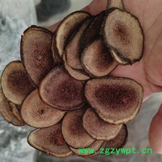 鹿茸 鹿茸片含粉产地直供 产地 吉林省白山市抚松县图2