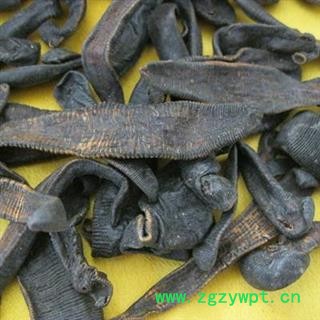 草民甄选水蛭 正品金线 纯清水吊干 野生货  量大从优！欢迎咨询！图3