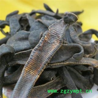 草民甄选水蛭 正品金线 纯清水吊干 野生货  量大从优！欢迎咨询！图2