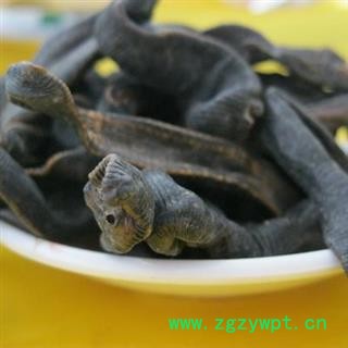 草民甄选水蛭 正品金线 纯清水吊干 野生货  量大从优！欢迎咨询！图4