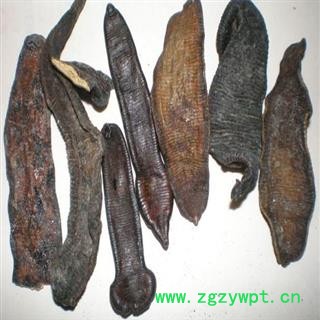 清水水蛭 统装 产地 黑龙江省图2