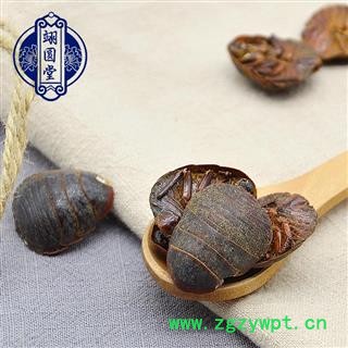 土鳖虫 选货 产地 山东省图4