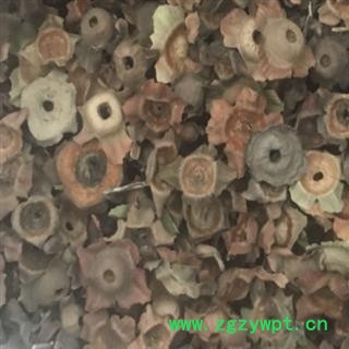 柿蒂 青柿蒂 老柿蒂 柿子蒂统货 无硫无添加  产地 河北省 中药材柿蒂 老柿子蒂尽在中药材诚实通安国批发零售大全图2