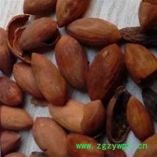 吉康药业榧子 香榧 榧实 玉山果 赤果 玉榧 新货产地直销重在品质图2