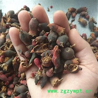 新辉药业优质石榴花 正品新货图2