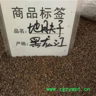 新辉药业 优质地肤子 新货无硫图3