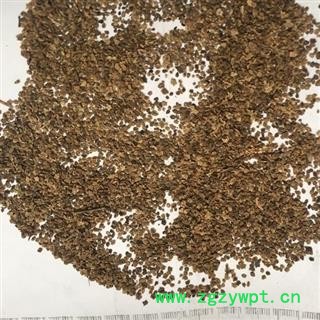 新辉药业 优质地肤子 新货无硫图2