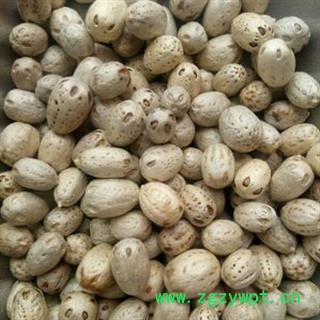 新辉药业 南酸枣 五眼果 化郎果图2