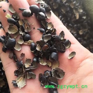 新辉药业黑豆皮  黑豆衣 新货干品 实物拍摄图2