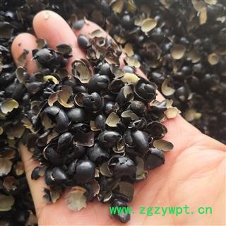 新辉药业黑豆皮  黑豆衣 新货干品 实物拍摄图3