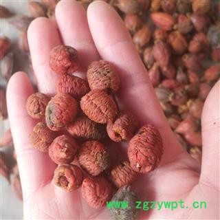 新辉药业中药材山栀子 手工剥壳 栀子仁粉 栀子肉图2