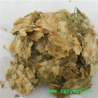 新辉药业正品啤酒花图2