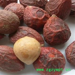 新辉药业正品铁树果 新货铁树籽图2