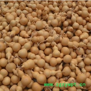 新辉药业中药材抽葫芦 全葫芦图2