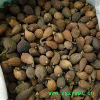 新辉药业无花果图2