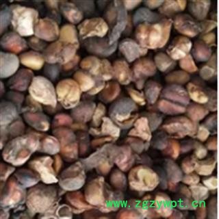 新辉药业正品品马槟榔  紫槟榔图2