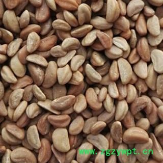 新辉药业野生优质山楂核 山楂籽 山楂核保健枕图2