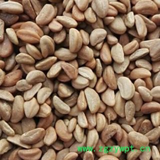 新辉药业野生优质山楂核 山楂籽 山楂核保健枕图3