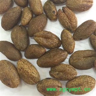 新辉药业优质橄榄核 橄榄肉图2