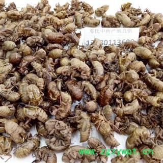 蝉蜕 蝉蜕 选货 产地 四川省德阳市罗江县 邓氏图3